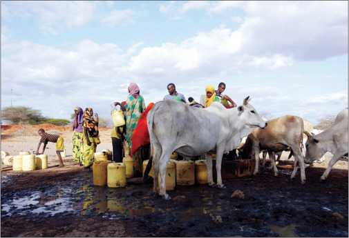 Villagers and livestock gather at a watering point in Wajir, Kenya